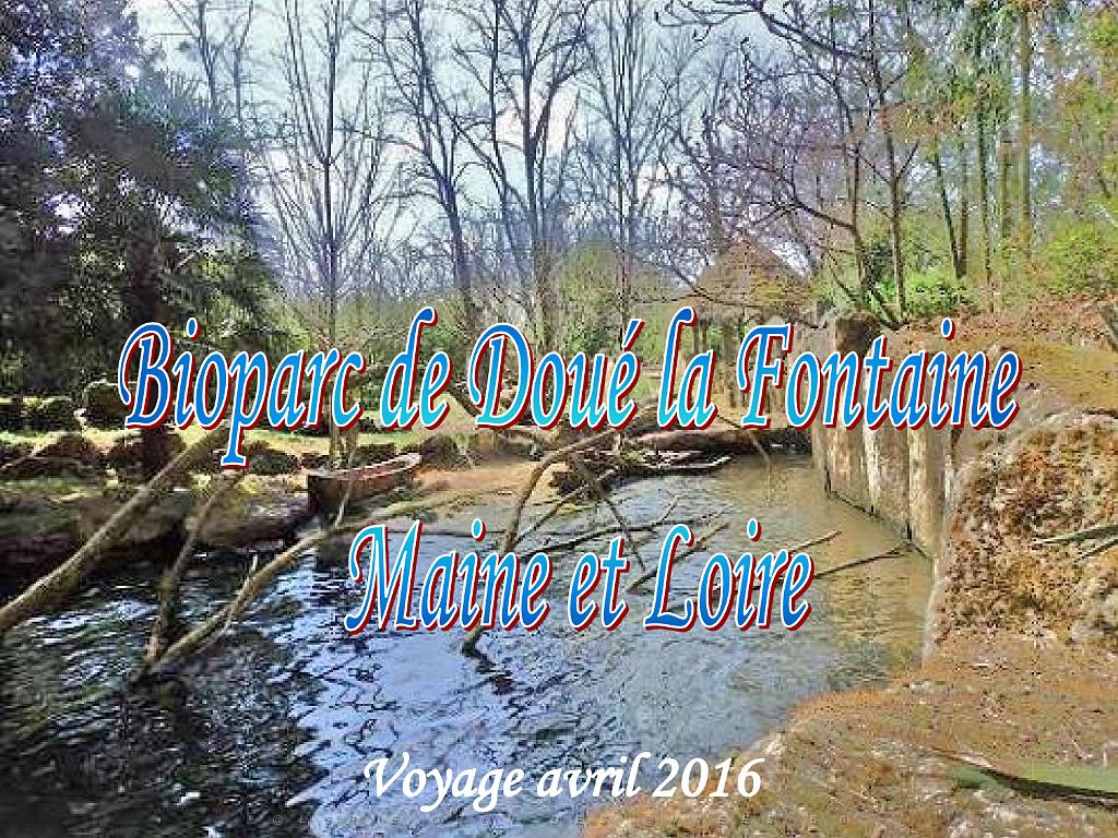 149 BIO PARC DE DOUE LA FONTAINE 7- 2016_000001.jpg